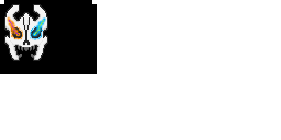 More information about "Gaster Blaster"