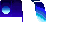 More information about "maybe bugged cape"